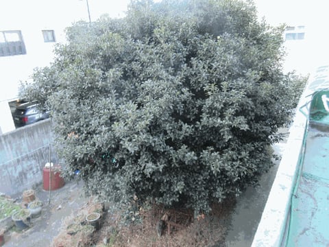 물건 사진 30