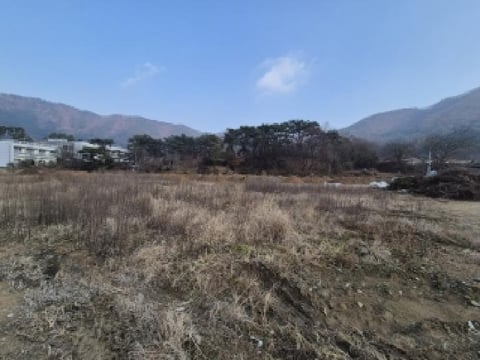 물건 사진 1