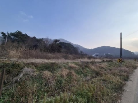 물건 사진 2