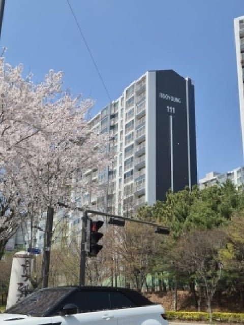 물건 사진 1