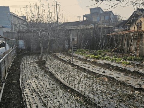 물건 사진 21