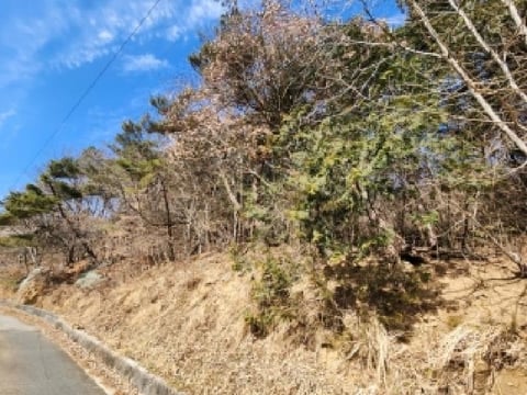 물건 사진 13
