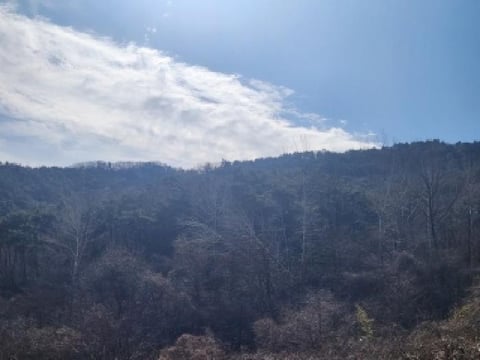 물건 사진 15