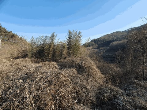 물건 사진 21