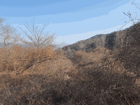 물건 사진 24