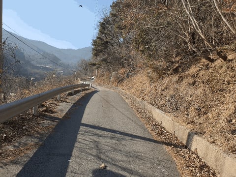 물건 사진 29