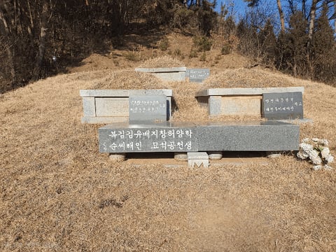 물건 사진 30