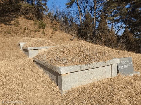 물건 사진 33
