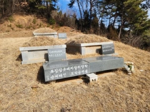 물건 사진 5