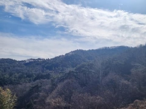 물건 사진 14