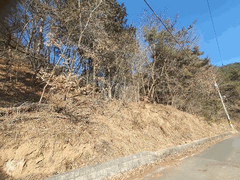 물건 사진 20