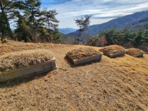 물건 사진 9