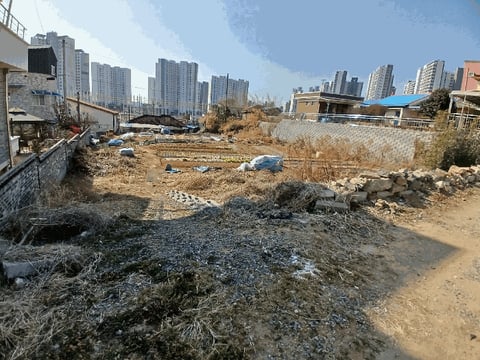물건 사진 6