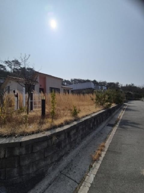 물건 사진 2