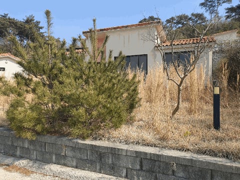 물건 사진 13