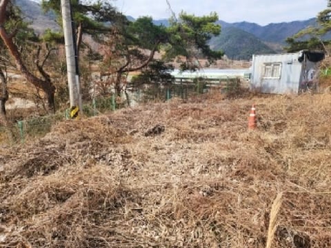 물건 사진 2