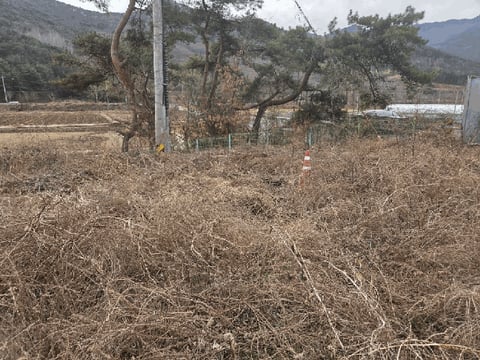 물건 사진 12