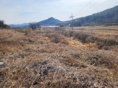 물건 사진 3