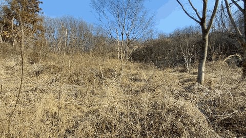물건 사진 13