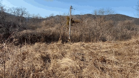 물건 사진 14