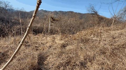 물건 사진 9