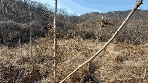 물건 사진 10