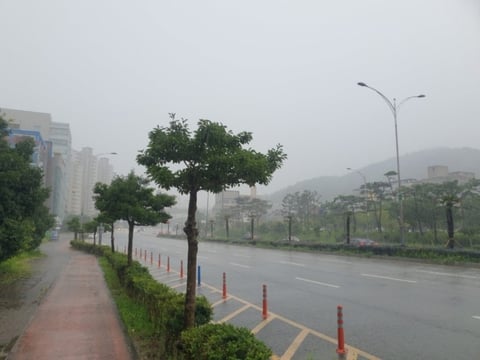 물건 사진 12