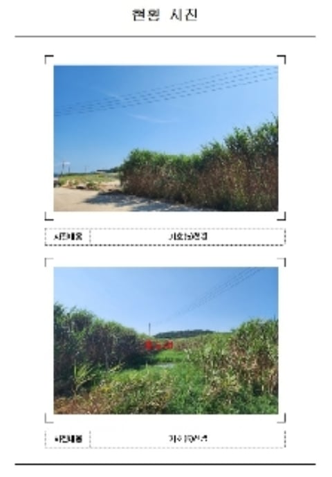 물건 사진 5