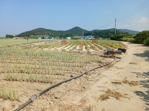 물건 사진 51
