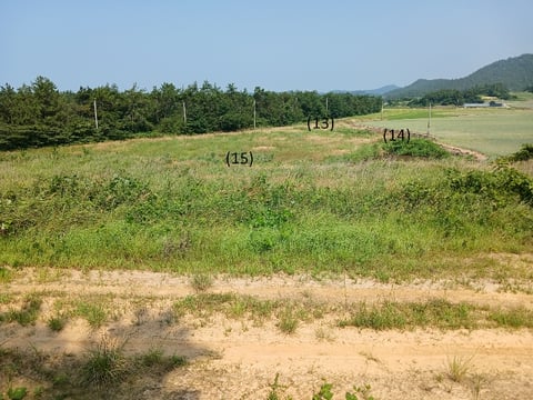 물건 사진 52