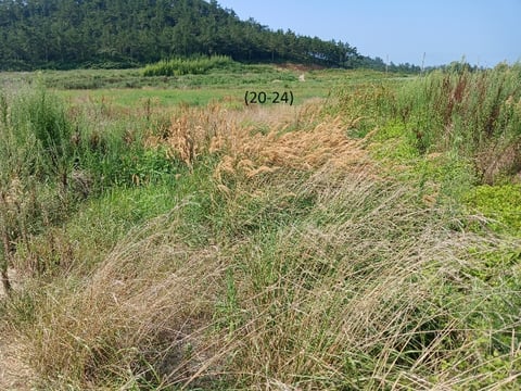 물건 사진 53