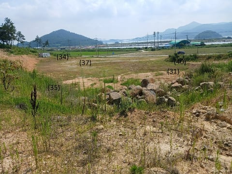 물건 사진 55