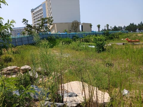 물건 사진 56