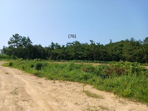 물건 사진 58