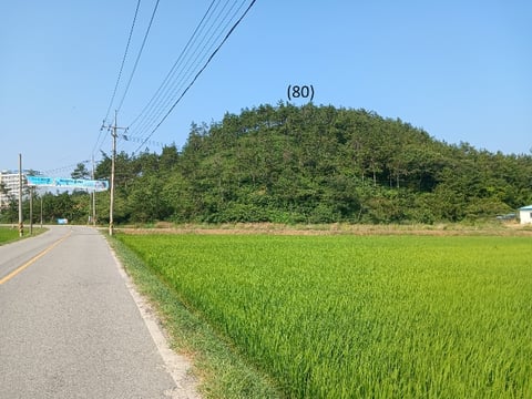 물건 사진 59