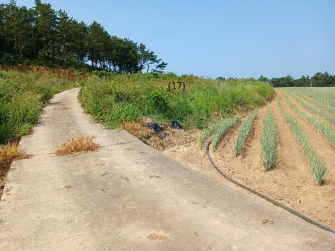 물건 사진 63