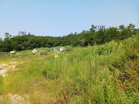 물건 사진 65