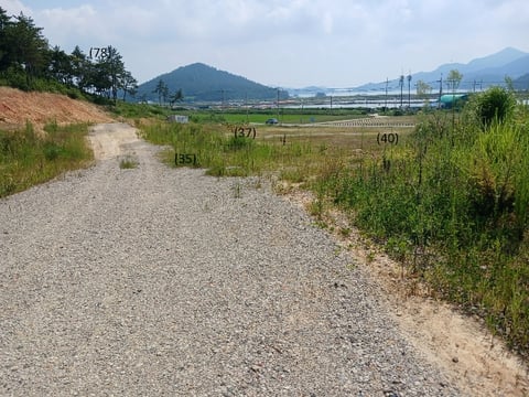 물건 사진 66