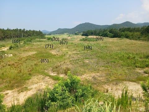 물건 사진 68