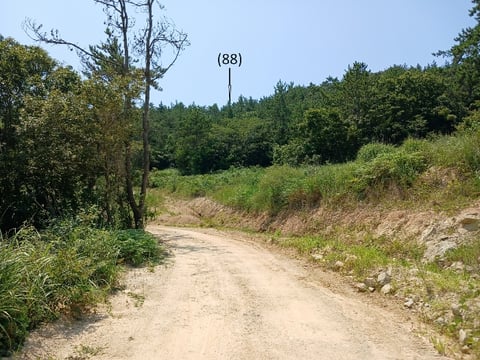 물건 사진 71