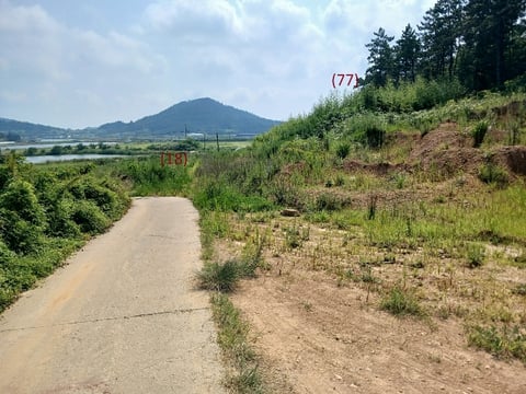 물건 사진 74