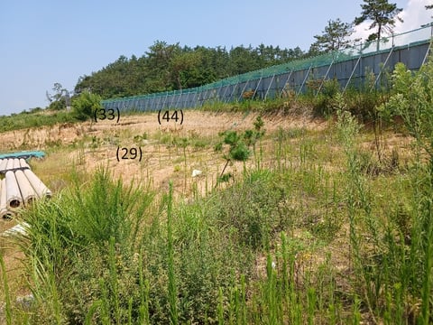 물건 사진 76