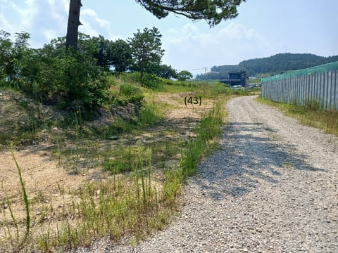 물건 사진 77
