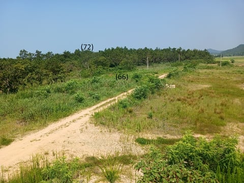 물건 사진 79