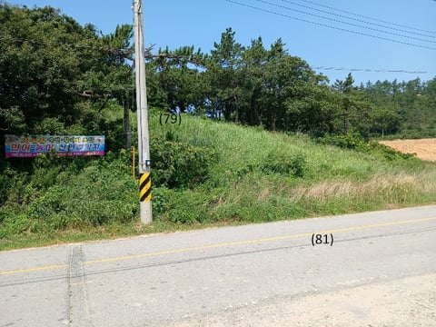 물건 사진 80