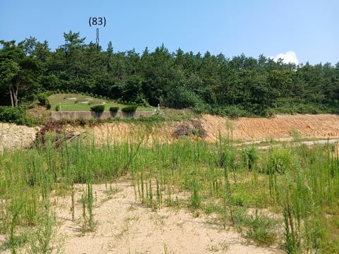 물건 사진 81