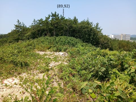 물건 사진 82