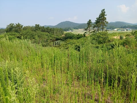 물건 사진 84