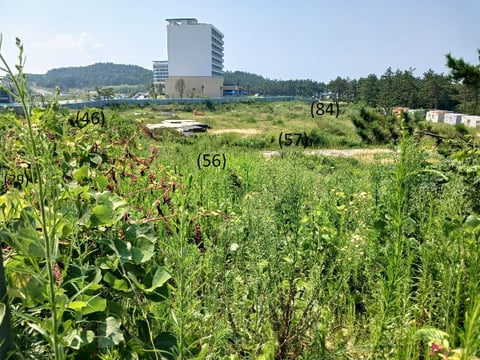 물건 사진 87