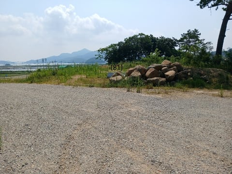 물건 사진 91